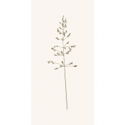Servietten Autumn Gras von IB Laursen